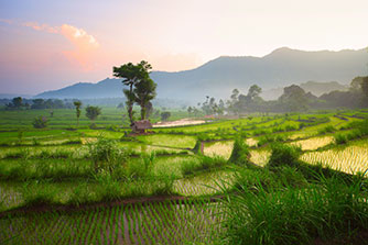 Travel Insurance to Bali Travel Insurance to Bali